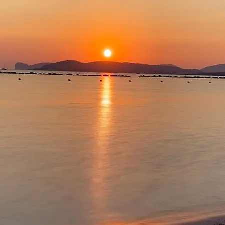 Poma De Casa - Carrero Del Carmen