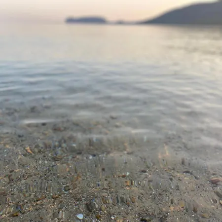 Poma De Casa - Carrero Del Carmen אלגהרו