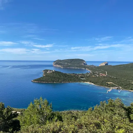 Poma De Casa - Carrero Del Carmen